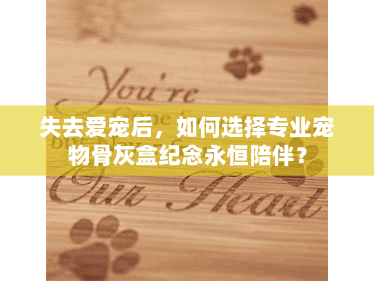 失去爱宠后，如何选择专业宠物骨灰盒纪念永恒陪伴？
