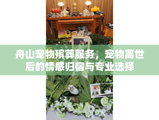 舟山宠物殡葬服务，宠物离世后的情感归宿与专业选择