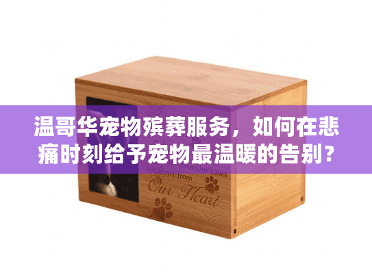 温哥华宠物殡葬服务，如何在悲痛时刻给予宠物最温暖的告别？