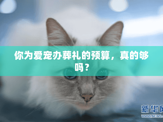 你为爱宠办葬礼的预算，真的够吗？