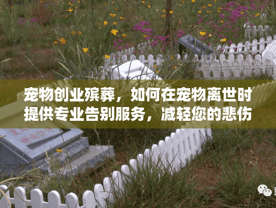 宠物创业殡葬，如何在宠物离世时提供专业告别服务，减轻您的悲伤？