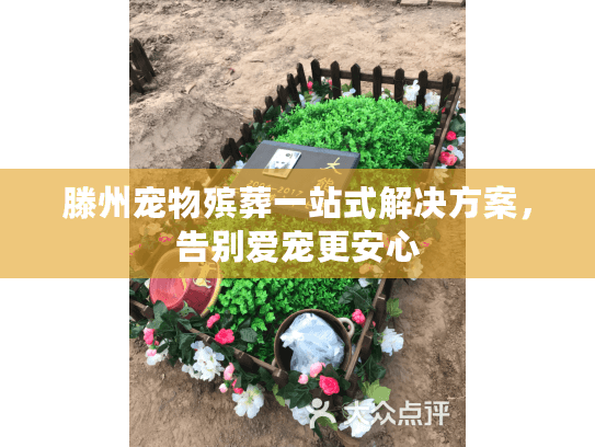 滕州宠物殡葬一站式解决方案，告别爱宠更安心