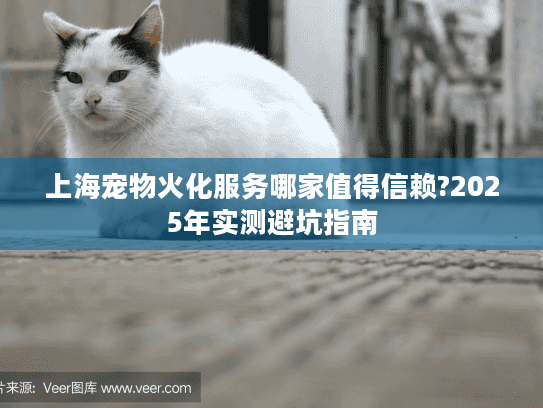 上海宠物火化服务哪家值得信赖?2025年实测避坑指南
