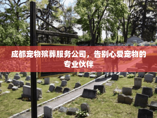 成都宠物殡葬服务公司，告别心爱宠物的专业伙伴