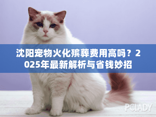沈阳宠物火化殡葬费用高吗？2025年最新解析与省钱妙招