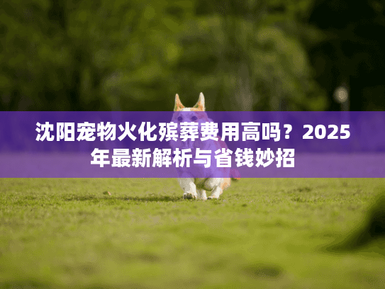 沈阳宠物火化殡葬费用高吗？2025年最新解析与省钱妙招