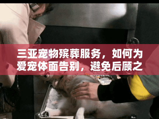 三亚宠物殡葬服务，如何为爱宠体面告别，避免后顾之忧？