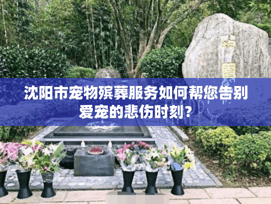 沈阳市宠物殡葬服务如何帮您告别爱宠的悲伤时刻？