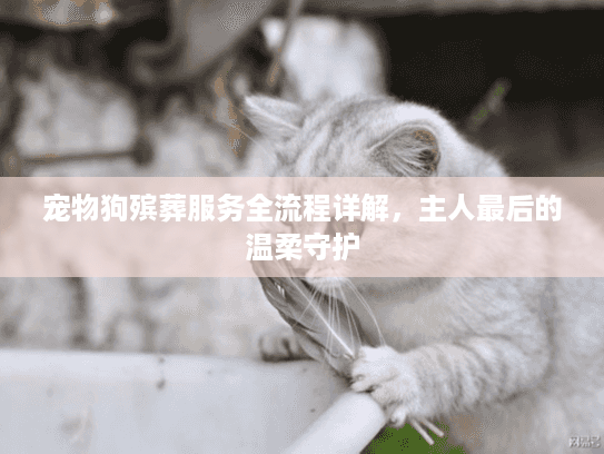 宠物狗殡葬服务全流程详解，主人最后的温柔守护