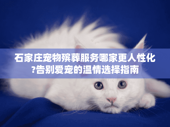 石家庄宠物殡葬服务哪家更人性化?告别爱宠的温情选择指南