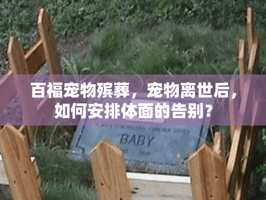 百福宠物殡葬，宠物离世后，如何安排体面的告别？