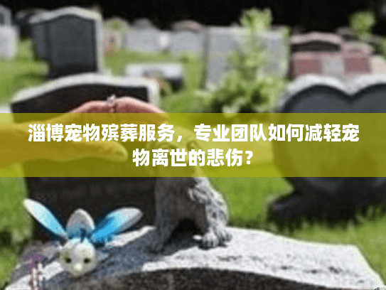 淄博宠物殡葬服务，专业团队如何减轻宠物离世的悲伤？