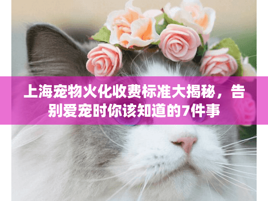 上海宠物火化收费标准大揭秘，告别爱宠时你该知道的7件事