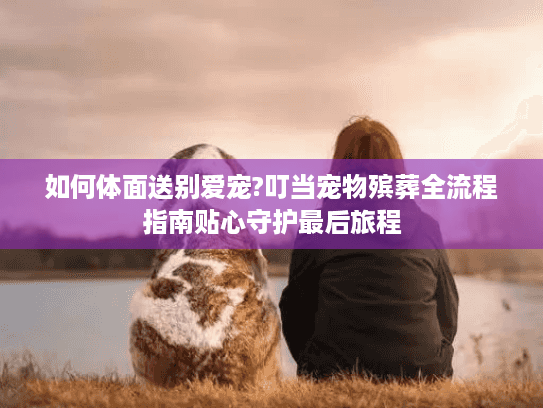 如何体面送别爱宠?叮当宠物殡葬全流程指南贴心守护最后旅程