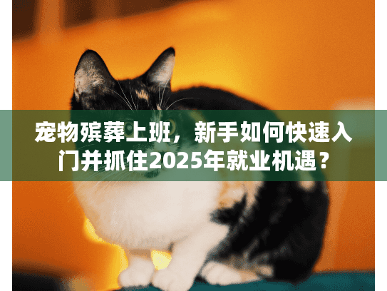 宠物殡葬上班，新手如何快速入门并抓住2025年就业机遇？