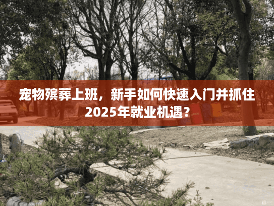 宠物殡葬上班，新手如何快速入门并抓住2025年就业机遇？