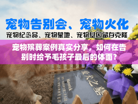 宠物殡葬案例真实分享，如何在告别时给予毛孩子最后的体面？