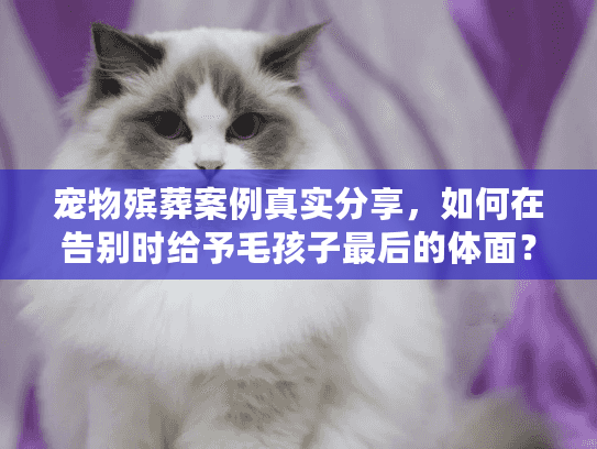 宠物殡葬案例真实分享，如何在告别时给予毛孩子最后的体面？