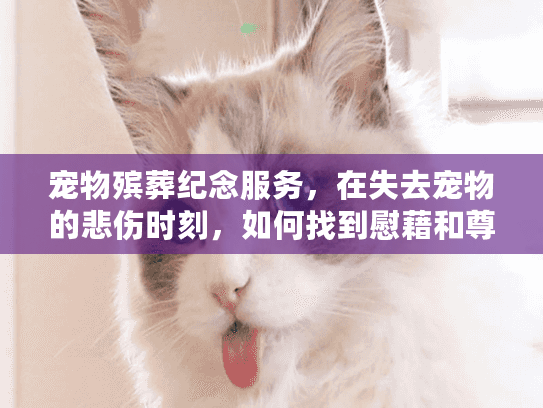 宠物殡葬纪念服务，在失去宠物的悲伤时刻，如何找到慰藉和尊严告别？