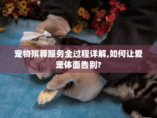 宠物殡葬服务全过程详解,如何让爱宠体面告别? 宠物殡葬服务全过程详解,如何让爱宠体面告别?