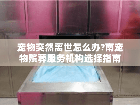 宠物突然离世怎么办?南宠物殡葬服务机构选择指南