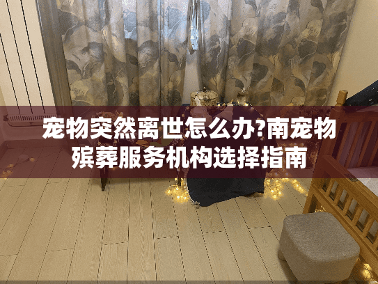 宠物突然离世怎么办?南宠物殡葬服务机构选择指南