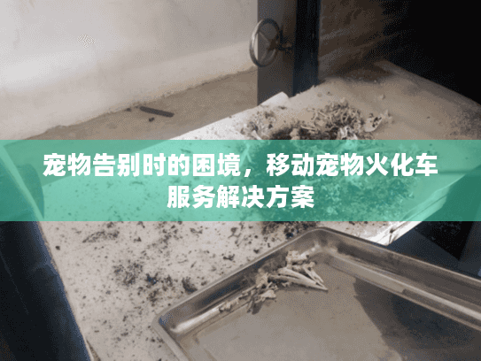 宠物告别时的困境，移动宠物火化车服务解决方案