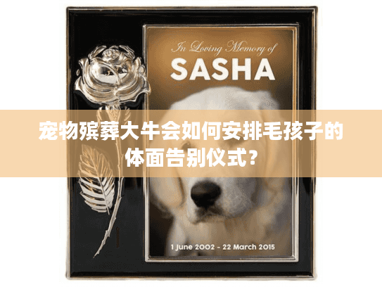 宠物殡葬大牛会如何安排毛孩子的体面告别仪式？