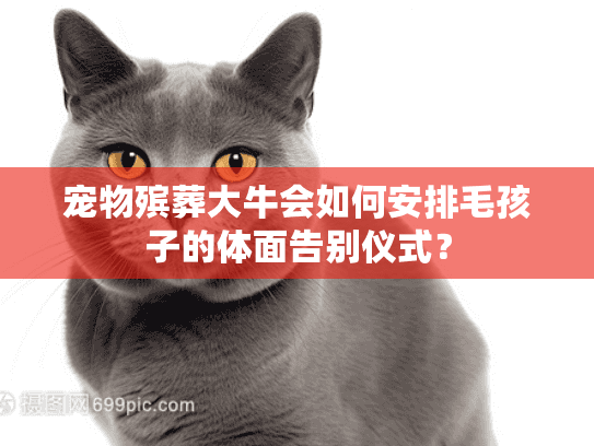 宠物殡葬大牛会如何安排毛孩子的体面告别仪式？