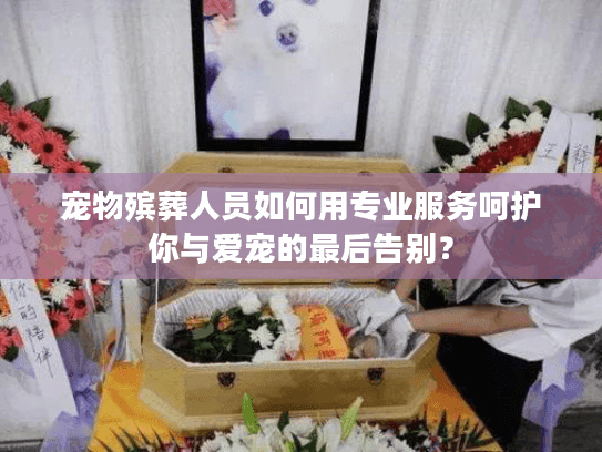宠物殡葬人员如何用专业服务呵护你与爱宠的最后告别？