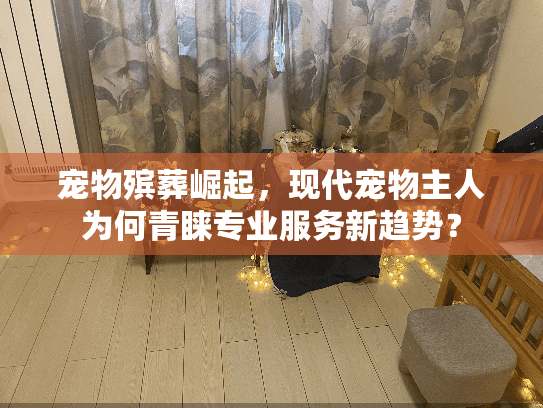 宠物殡葬崛起，现代宠物主人为何青睐专业服务新趋势？