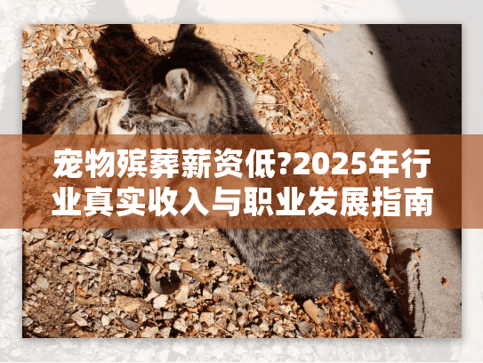 宠物殡葬薪资低?2025年行业真实收入与职业发展指南
