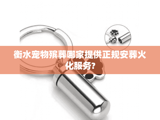 衡水宠物殡葬哪家提供正规安葬火化服务?