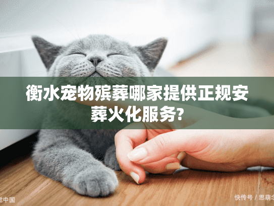 衡水宠物殡葬哪家提供正规安葬火化服务?