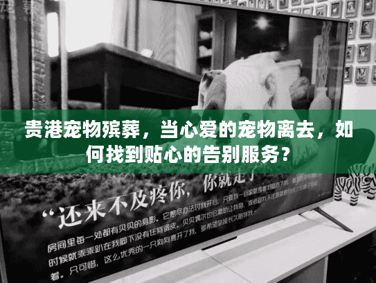 贵港宠物殡葬,当心爱的宠物离去,如何找到贴心的告别服务? 贵港宠物殡葬,当心爱的宠物离去,如何找到贴心的告别服务?