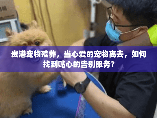 贵港宠物殡葬,当心爱的宠物离去,如何找到贴心的告别服务? 贵港宠物殡葬,当心爱的宠物离去,如何找到贴心的告别服务?