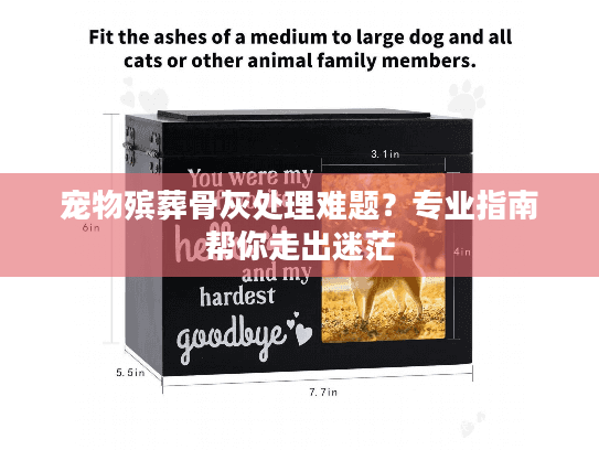 宠物殡葬骨灰处理难题？专业指南帮你走出迷茫