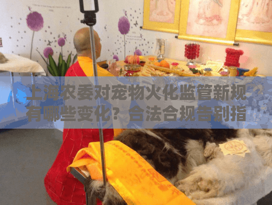 上海农委对宠物火化监管新规有哪些变化？合法合规告别指南