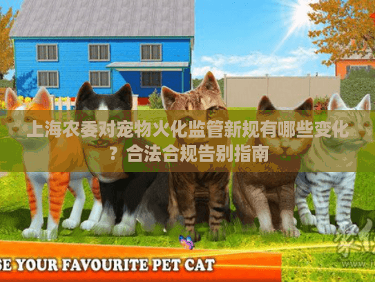 上海农委对宠物火化监管新规有哪些变化？合法合规告别指南