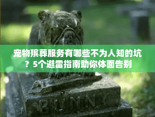 宠物殡葬服务有哪些不为人知的坑？5个避雷指南助你体面告别