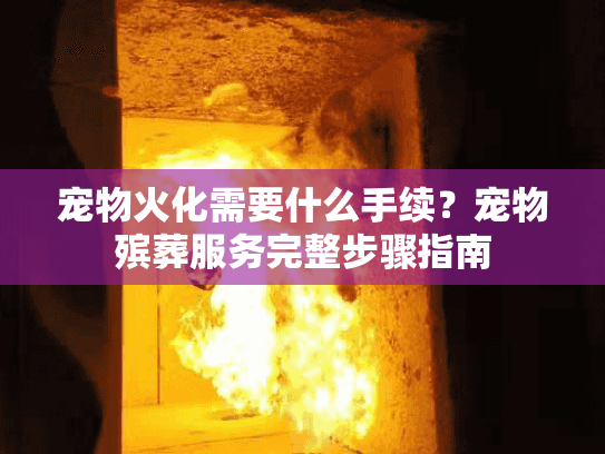 宠物火化需要什么手续？宠物殡葬服务完整步骤指南