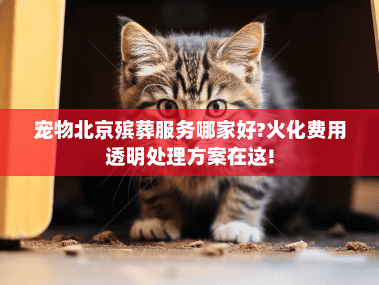宠物北京殡葬服务哪家好?火化费用透明处理方案在这!