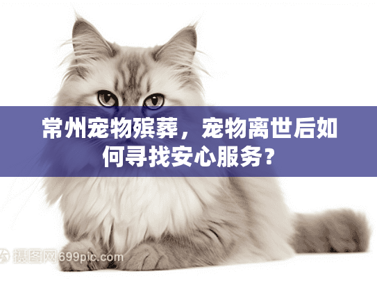常州宠物殡葬，宠物离世后如何寻找安心服务？