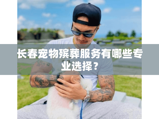 长春宠物殡葬服务有哪些专业选择？