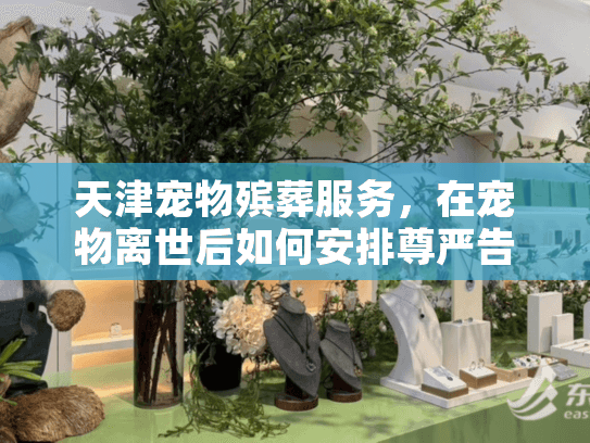 天津宠物殡葬服务，在宠物离世后如何安排尊严告别？