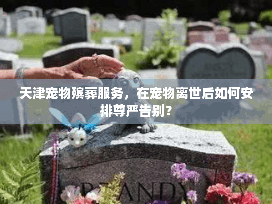 天津宠物殡葬服务，在宠物离世后如何安排尊严告别？