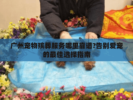 广州宠物殡葬服务哪里靠谱?告别爱宠的最佳选择指南 广州宠物殡葬服务哪里靠谱?告别爱宠的最佳选择指南