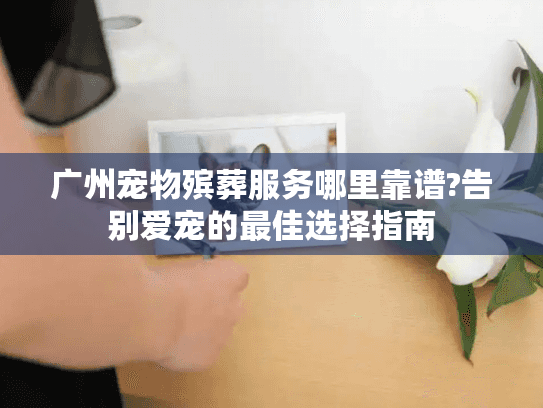 广州宠物殡葬服务哪里靠谱?告别爱宠的最佳选择指南 广州宠物殡葬服务哪里靠谱?告别爱宠的最佳选择指南