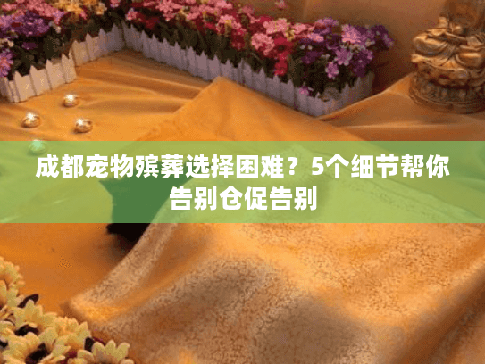 成都宠物殡葬选择困难？5个细节帮你告别仓促告别