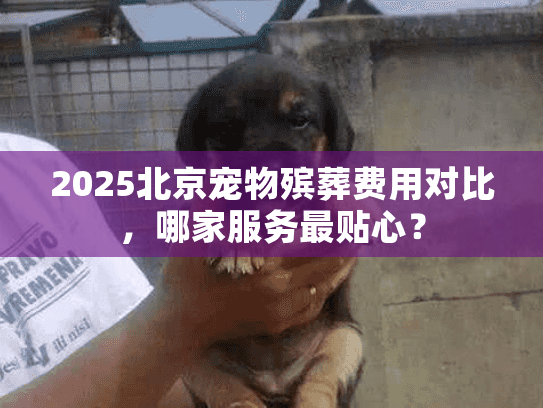 2025北京宠物殡葬费用对比，哪家服务最贴心？